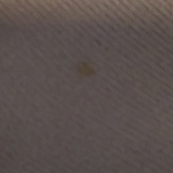 Victorias Secret Body by Victoria No Wire 36D Bra - Picture 16 of 16